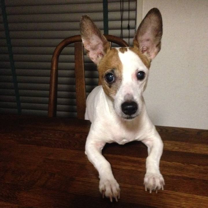 09a29014 2bbb 4689 894e 4d0cf3cc0f14