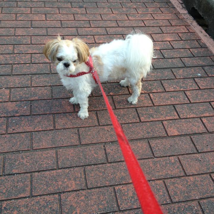 09a3219c f699 4a87 9bf2 e25ce4b6f8f1