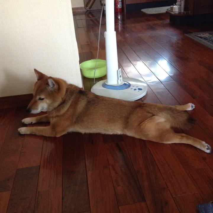 09a41a06 73b7 48af a5f5 d4ba010e4a5a