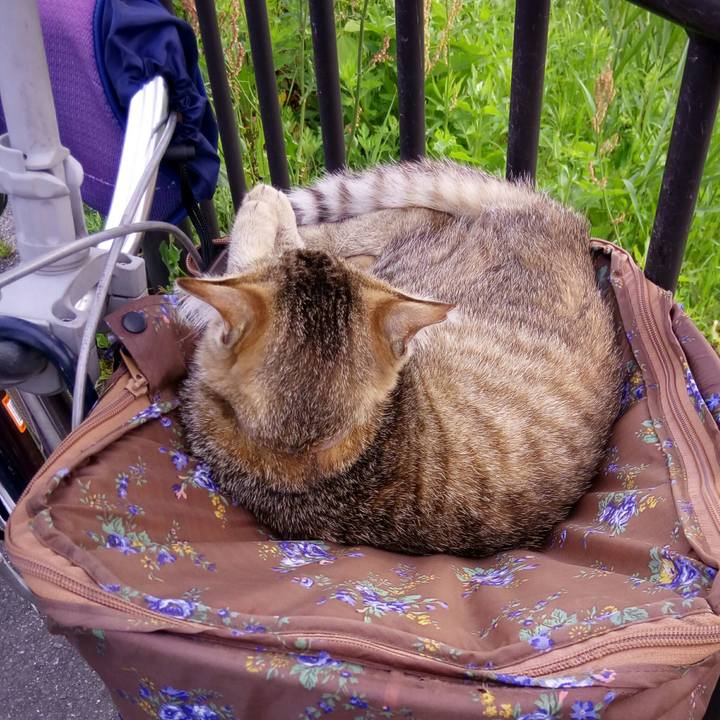 09a46ba6 7ca4 4740 a0c5 24a808328158