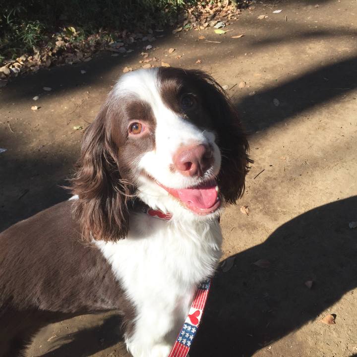 09a46f29 452e 4fe2 b70b 79703a89c2d2