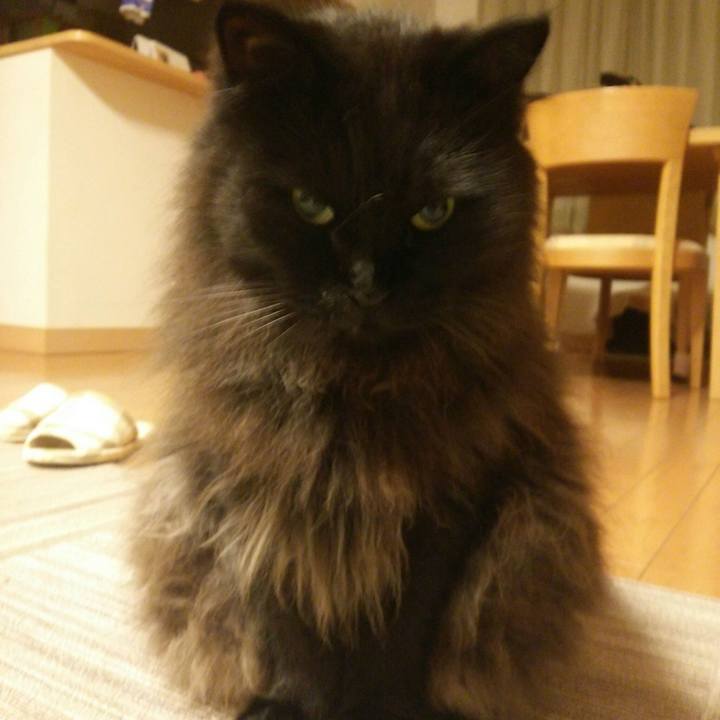 09a4fd04 890c 4157 a5ed cc35a0a5ef49