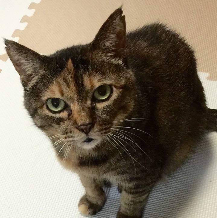 09a51a66 567d 4ff1 99be e7b7a080c4bb