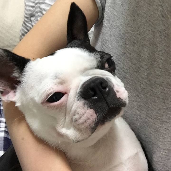 09a573e7 a84f 4784 bf6d 3259aaa2bbce