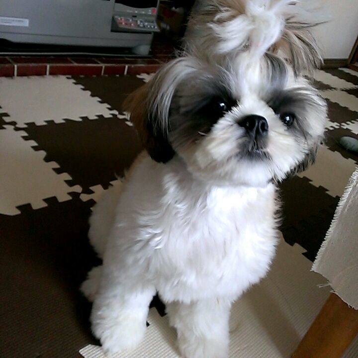 09a63afd 5a71 4d15 8105 e7011f61b9c6