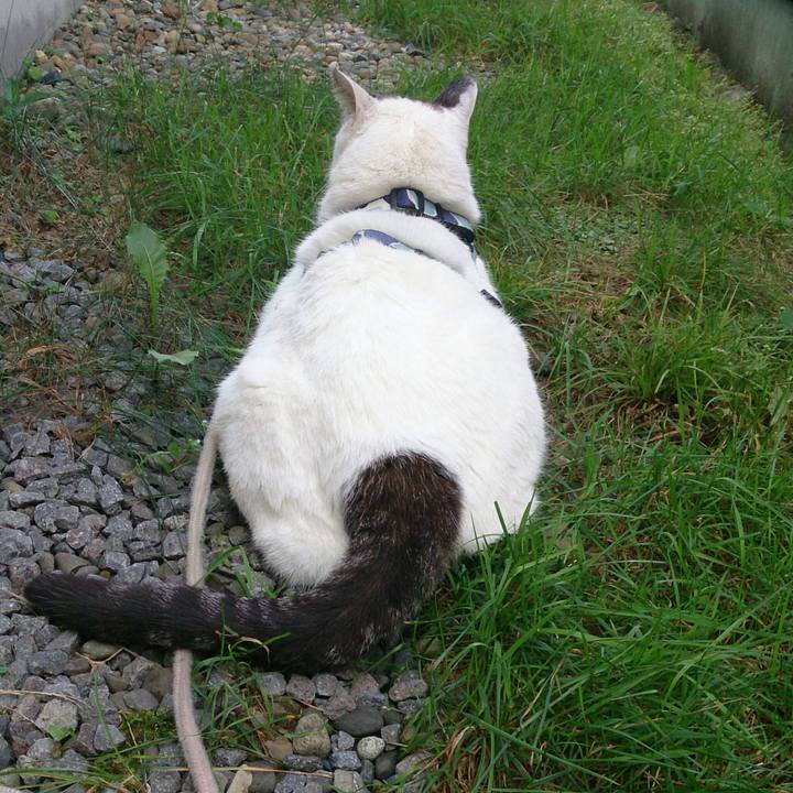 09a6bc4f 58ea 41db ab63 ef321fb4b970