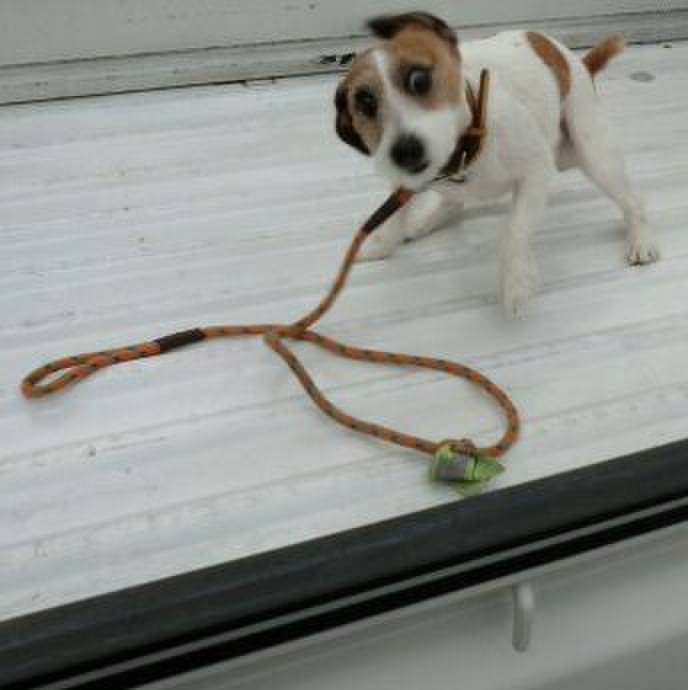 09a6f2a3 1c61 4af0 b125 a89b245dc8fb