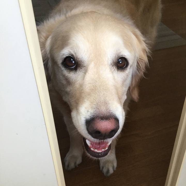 09a767e5 d189 4674 971e 8a9630330526