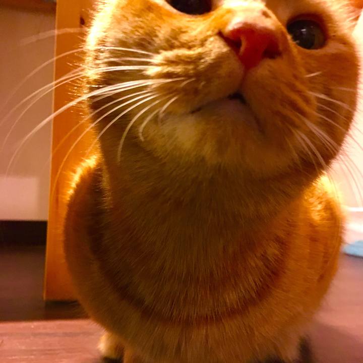 09a82615 154f 489d 9e31 dfedb20ea8c6