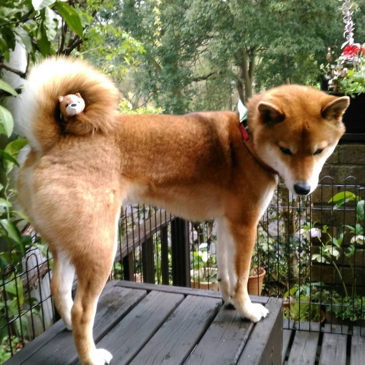 09a83bfe d819 4e77 bf40 ed3d566081ea