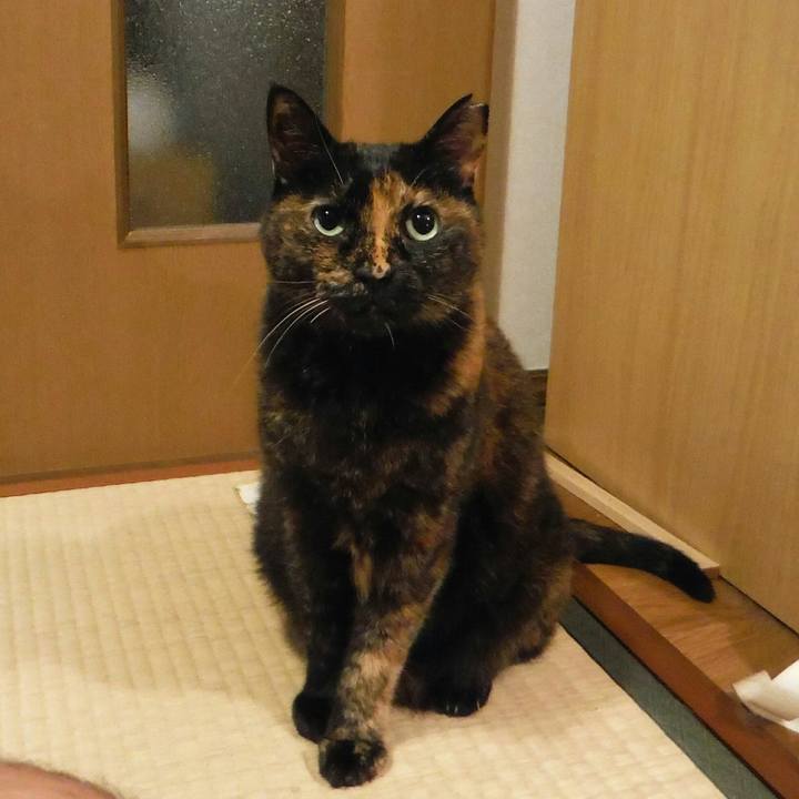 09a89fe5 ef43 4680 93ee bfe2ed25cf04