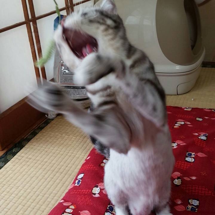 09a952a8 cf80 4aa4 aa5d d90688ba9c9d