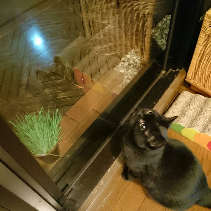 09a967c0 fd7d 4824 8e09 2a4a2c57509d