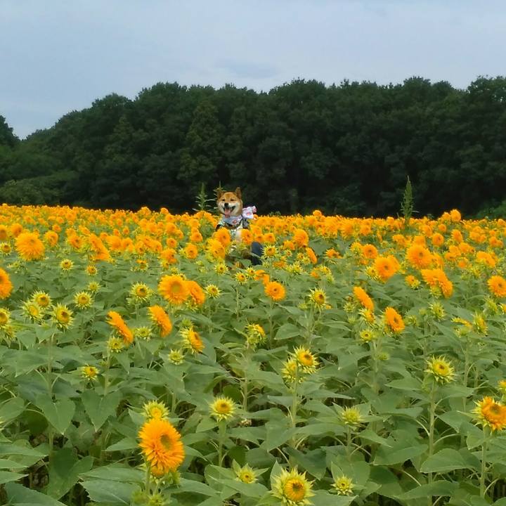 09a96a8c be72 4e4b 986d 3d85aaf4b93a