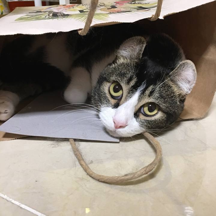 09a9b348 5d44 48c1 b00a 92e5a2dbcdd9