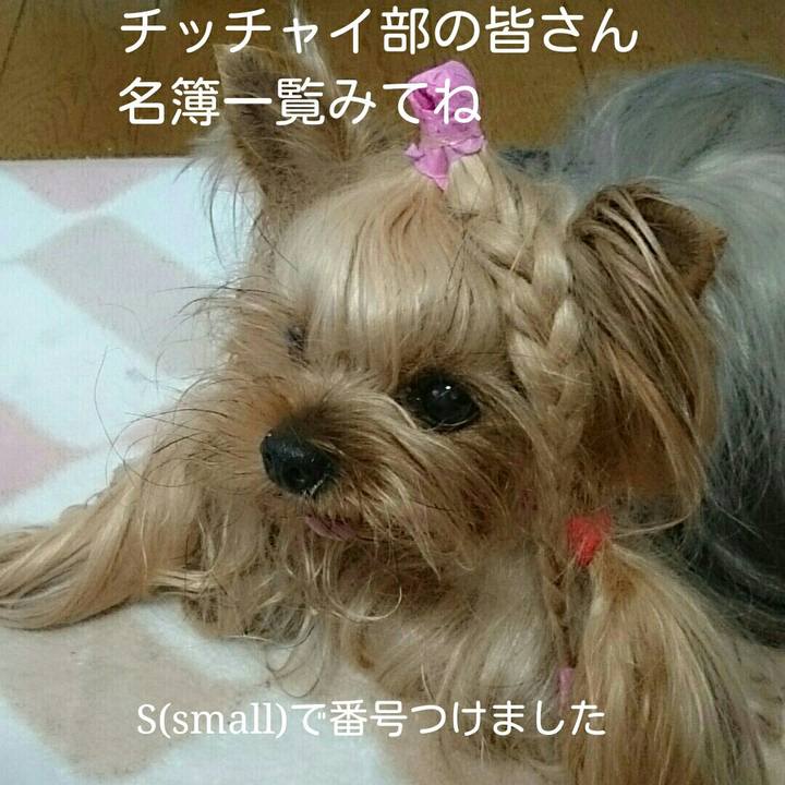 09a9b5b7 1f52 46ba 93f3 e9c95cffb3e0