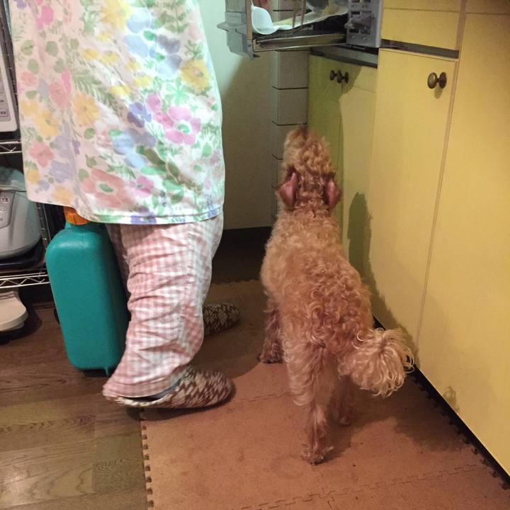 09aa9694 cee7 456a 8463 1281a540e549