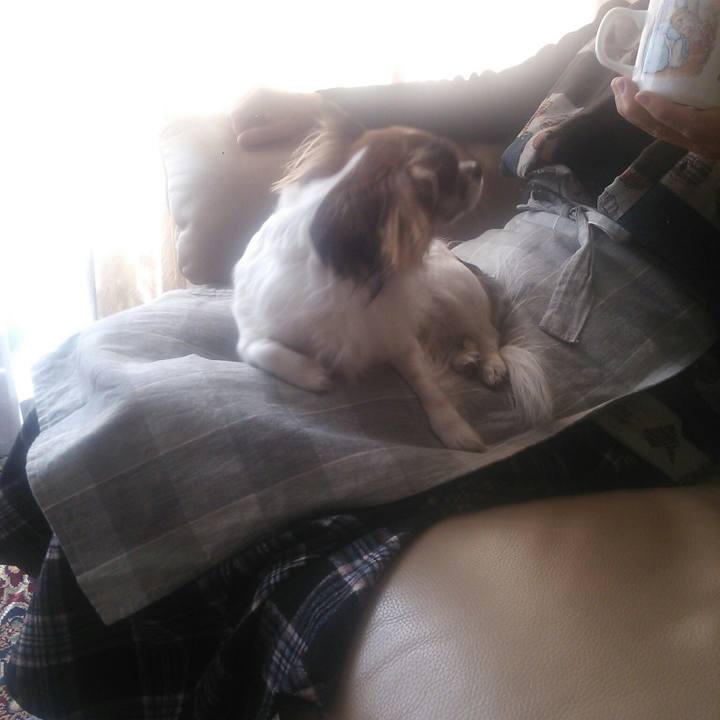 09aaf052 a5ef 4c61 bc68 37ec6d229938