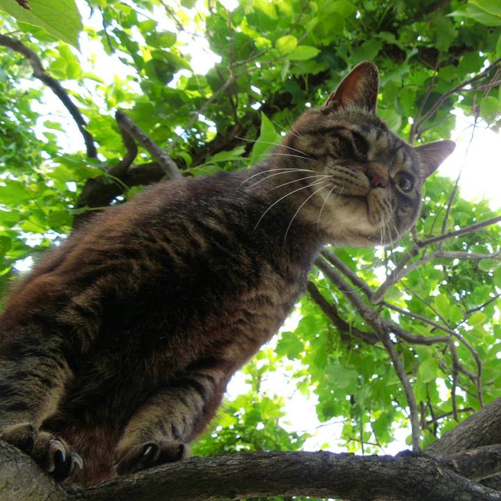 09aaffb0 a33c 4272 ad5a 494e80a89d9f