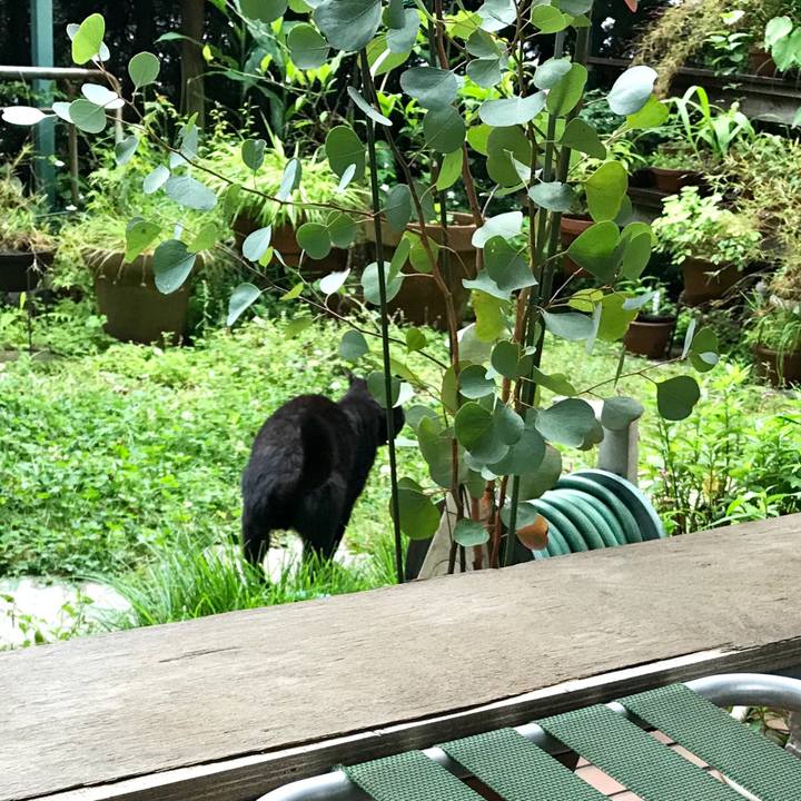 09ab3332 7de9 4f79 8a29 6bd3443db396