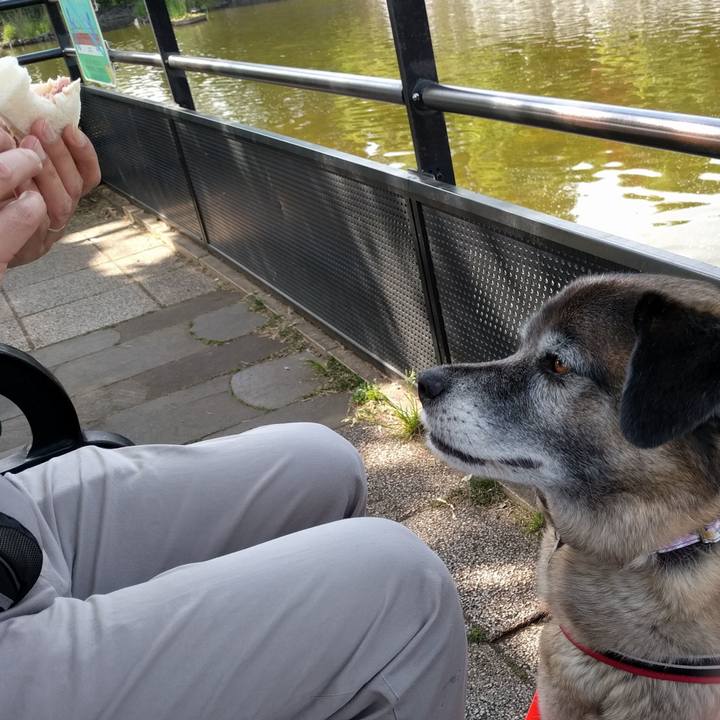 09ab39c9 4726 4cad bda5 27a80c40a3e2