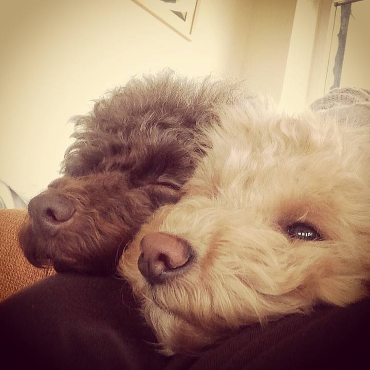 09ab4d14 6379 495b b09e f4a24841aabc