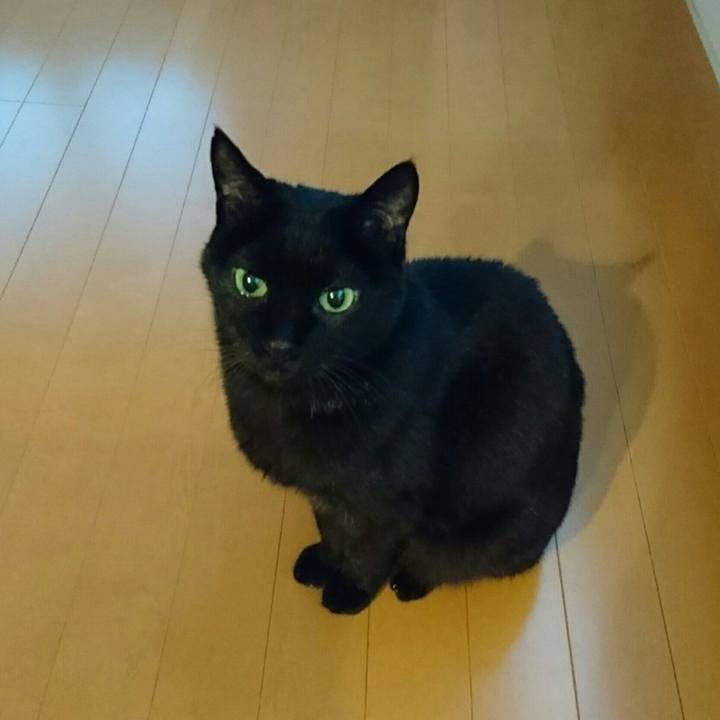 09ab6ff7 0300 4679 8570 ca2f95074fef