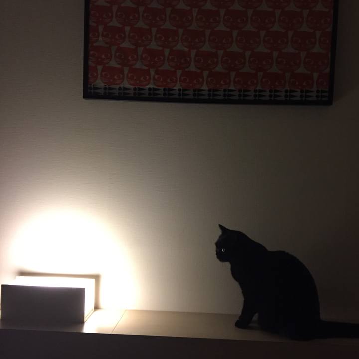 09aba197 c082 4490 b061 953017638716