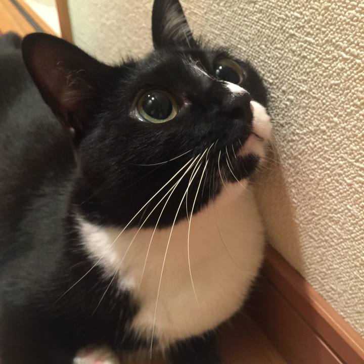 09ac1e7b 5b7d 4e54 ade4 405cbb134b80