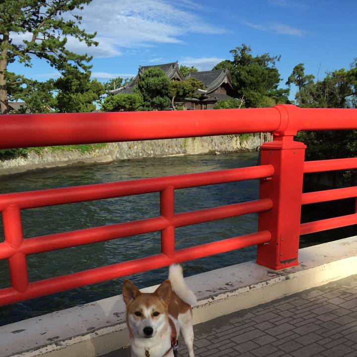 09ac3b91 aba9 409d 9ff1 f269c3b1790a