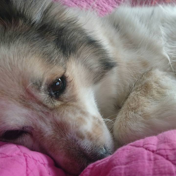 09acf5d4 a8be 4449 a10f 08e606519963