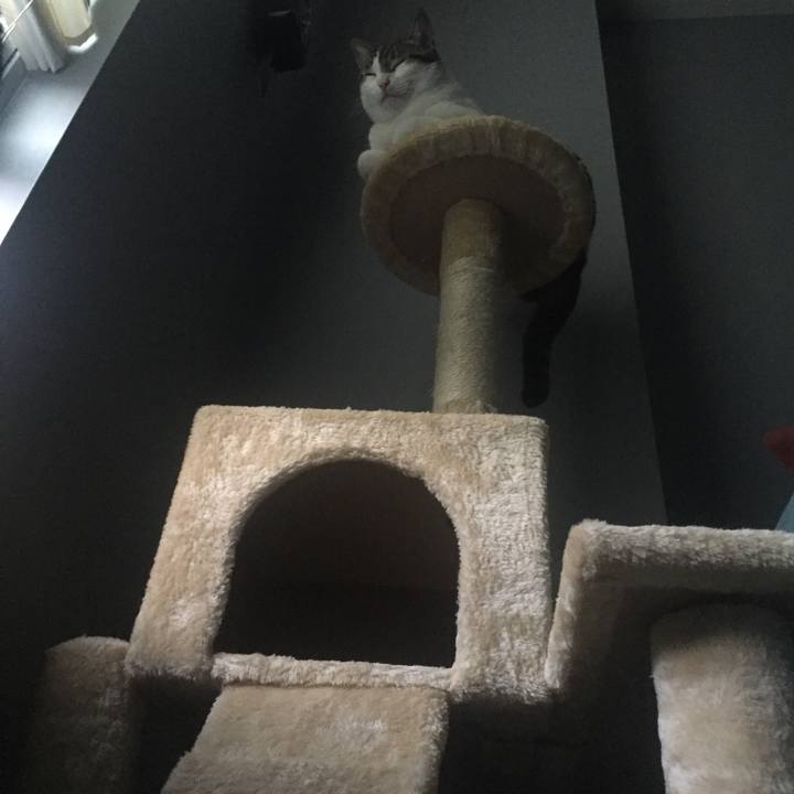 09ad5b1c 4e3e 4bf0 896b f7cb0d1b4907