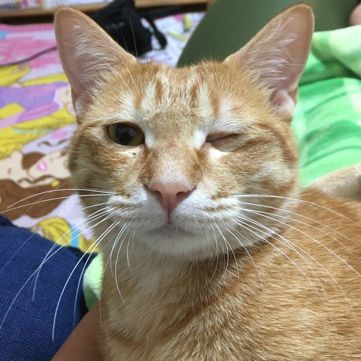 09ad8711 87d6 4725 8444 a88034b8ebd9