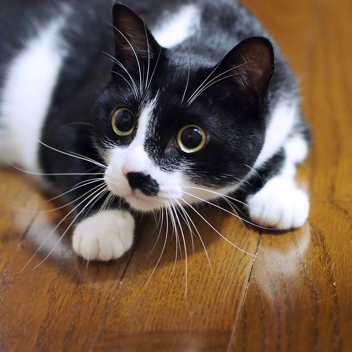 09adc030 22e0 4644 a614 83b06a59da0a