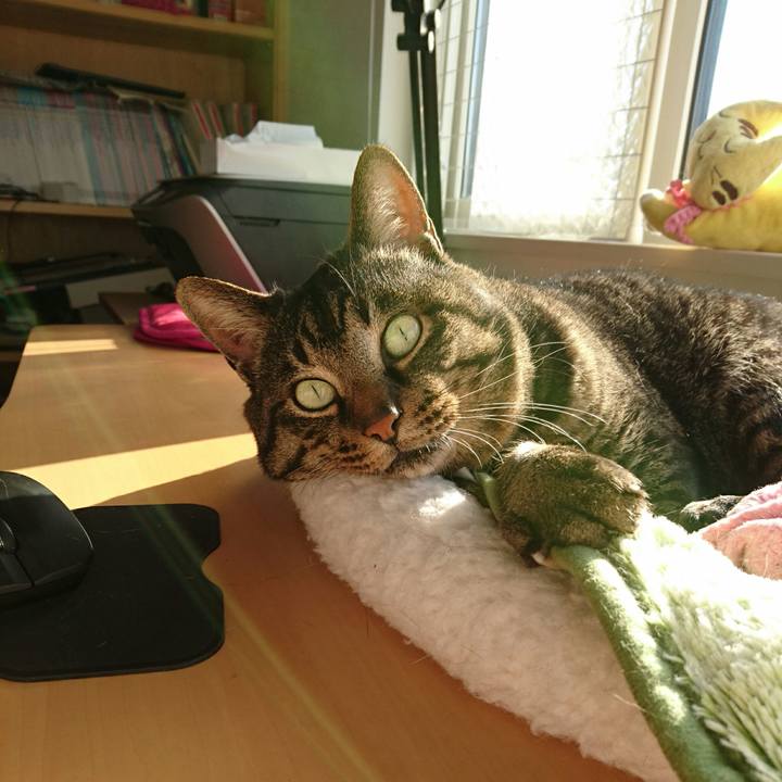 09ade544 8027 4b91 acf7 156624a95f8c