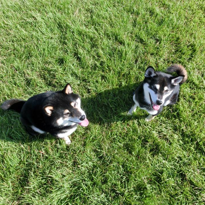 09ae4c9b 852e 4827 bb36 f43119dfbdac