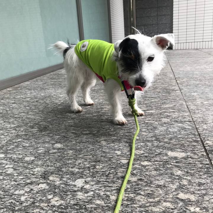 09ae52d9 810d 4791 9596 37ad56d7a34a