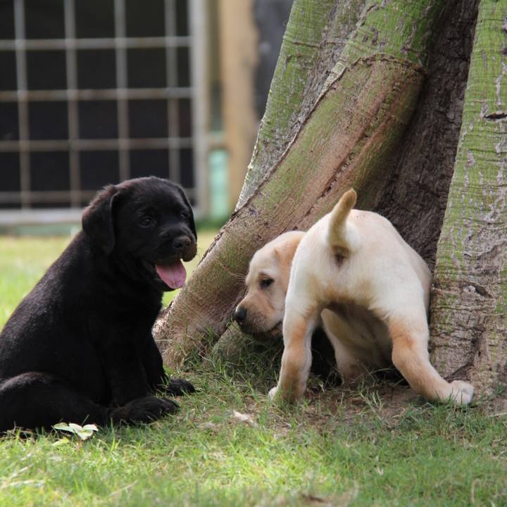 09ae79fe 86bf 4fbb a1b4 fb1a9dbdb3a4