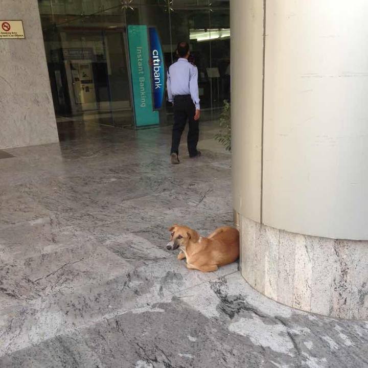 09ae85f0 6570 4619 85d6 52d19f66421a