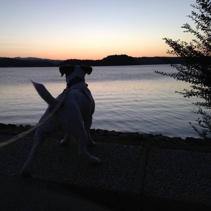 09ae9afa 08c2 4f74 b58a 2bf7e008ea9b