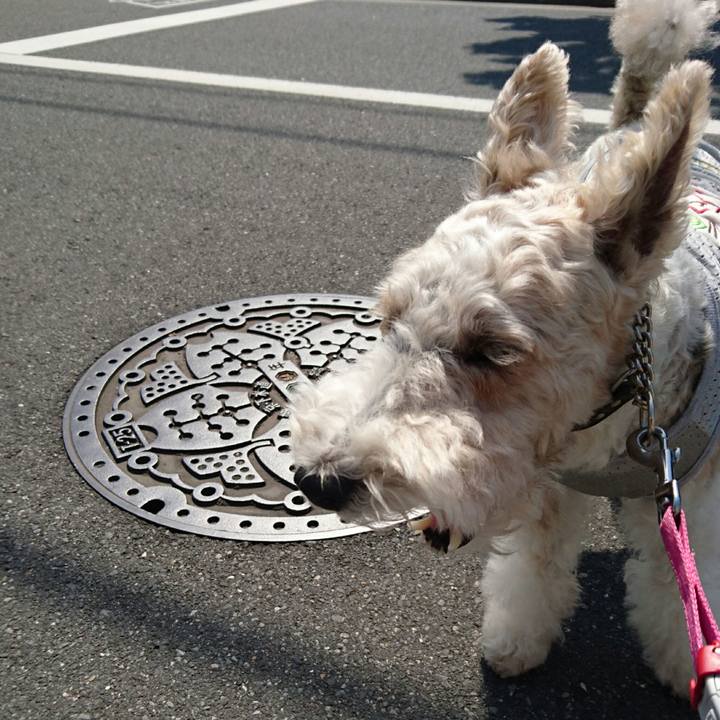 09b09c2b 1295 4cd0 a439 463bb2afc2a3