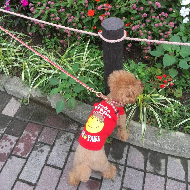 09b0b089 da1f 4c30 af64 76705147f885