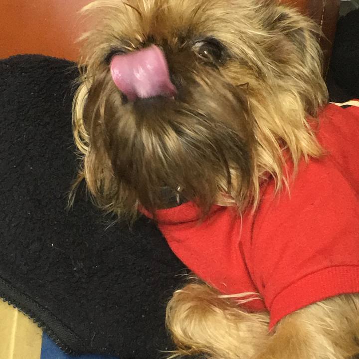 09b110a8 7d2b 49a8 bfb0 d0c4c1f6e9ae