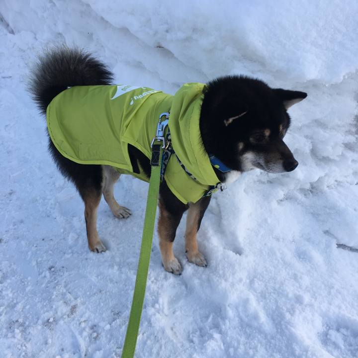 09b18f00 3f5f 4089 ad71 09e5b9adc31b