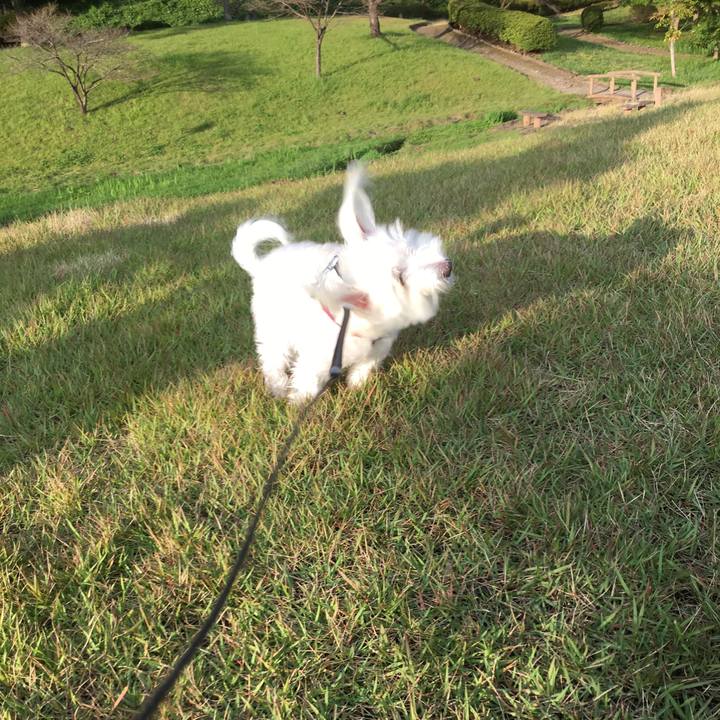 09b1a614 a1e1 4c7f ad54 d70bc4ed89b1