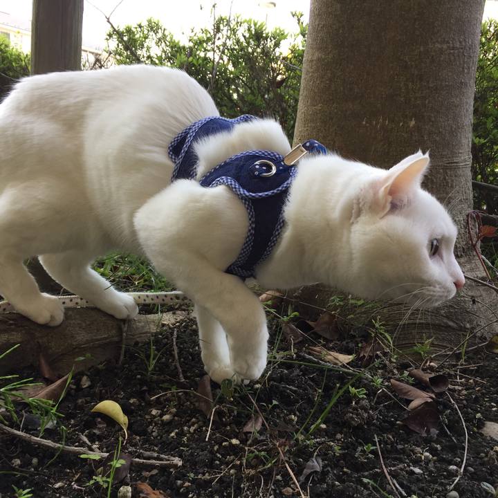 09b1f293 6b26 47cd 900f 977cc5ffae71