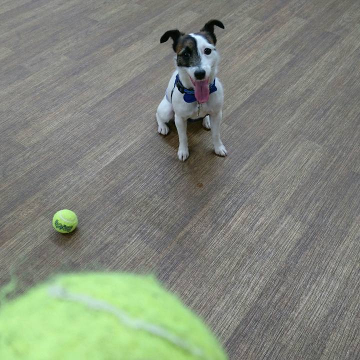 09b25e32 fcec 4979 a707 afb0ffbeb3ed