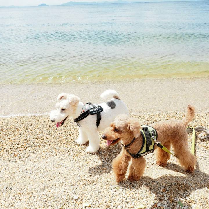 09b2d80f e815 4a83 afd5 71228f2c4ff5