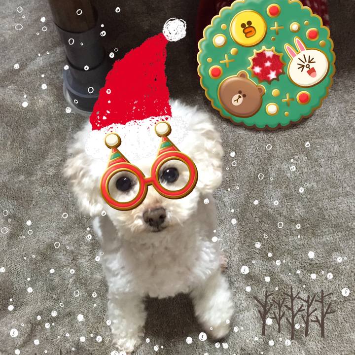 09b32d47 49d5 4dcb b1dd 19079046fbcd