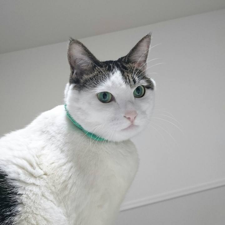 09b3cc14 85d7 4d57 afb0 e23099135dea